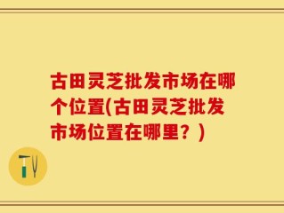 古田灵芝批发市场在哪个位置(古田灵芝批发市场位置在哪里？)