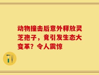 动物撞击后意外释放灵芝孢子，竟引发生态大变革？令人震惊