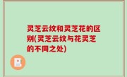 灵芝云纹和灵芝花的区别(灵芝云纹与花灵芝的不同之处)