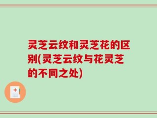 灵芝云纹和灵芝花的区别(灵芝云纹与花灵芝的不同之处)