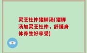 灵芝杜仲猪脚汤(猪脚汤加灵芝杜仲，舒缓身体养生好享受)