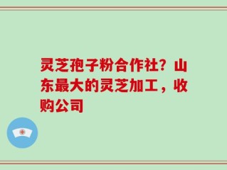 灵芝孢子粉合作社？山东最大的灵芝加工，收购公司