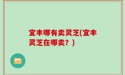 宜丰哪有卖灵芝(宜丰灵芝在哪卖？)