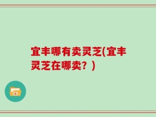 宜丰哪有卖灵芝(宜丰灵芝在哪卖？)