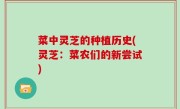 菜中灵芝的种植历史(灵芝：菜农们的新尝试)