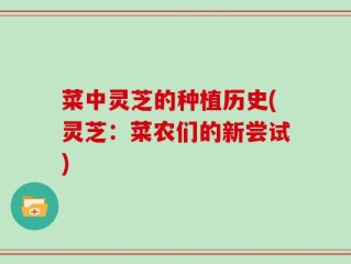 菜中灵芝的种植历史(灵芝：菜农们的新尝试)