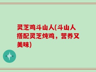 灵芝鸡斗山人(斗山人搭配灵芝炖鸡，营养又美味)