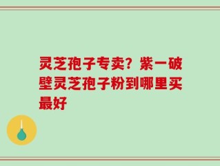 灵芝孢子专卖？紫一破壁灵芝孢子粉到哪里买最好