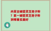 内蒙古破壁灵芝孢子粉？紫一破壁灵芝孢子粉到哪里买最好