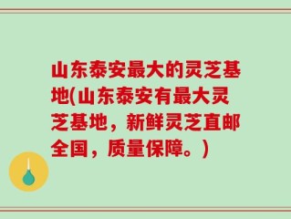 山东泰安最大的灵芝基地(山东泰安有最大灵芝基地，新鲜灵芝直邮全国，质量保障。)