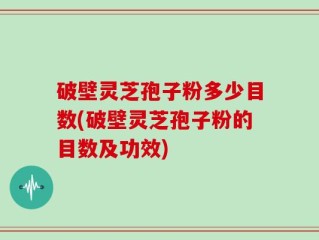 破壁灵芝孢子粉多少目数(破壁灵芝孢子粉的目数及功效)