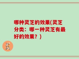 哪种灵芝的效果(灵芝分类：哪一种灵芝有最好的效果？)