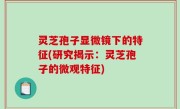 灵芝孢子显微镜下的特征(研究揭示：灵芝孢子的微观特征)
