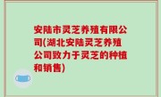 安陆市灵芝养殖有限公司(湖北安陆灵芝养殖公司致力于灵芝的种植和销售)