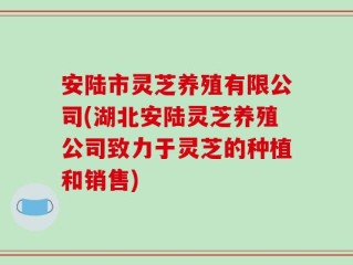 安陆市灵芝养殖有限公司(湖北安陆灵芝养殖公司致力于灵芝的种植和销售)