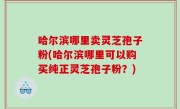 哈尔滨哪里卖灵芝孢子粉(哈尔滨哪里可以购买纯正灵芝孢子粉？)