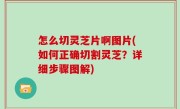 怎么切灵芝片啊图片(如何正确切割灵芝？详细步骤图解)