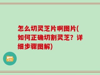 怎么切灵芝片啊图片(如何正确切割灵芝？详细步骤图解)