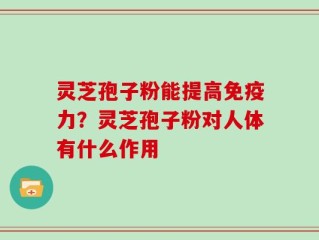 灵芝孢子粉能提高免疫力？灵芝孢子粉对人体有什么作用