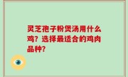 灵芝孢子粉煲汤用什么鸡？选择最适合的鸡肉品种？