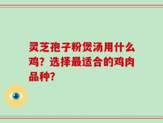 灵芝孢子粉煲汤用什么鸡？选择最适合的鸡肉品种？