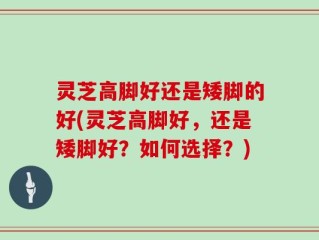 灵芝高脚好还是矮脚的好(灵芝高脚好，还是矮脚好？如何选择？)
