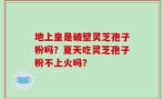 地上皇是破壁灵芝孢子粉吗？夏天吃灵芝孢子粉不上火吗？