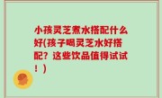 小孩灵芝煮水搭配什么好(孩子喝灵芝水好搭配？这些饮品值得试试！)