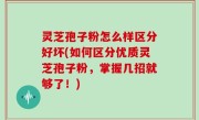灵芝孢子粉怎么样区分好坏(如何区分优质灵芝孢子粉，掌握几招就够了！)