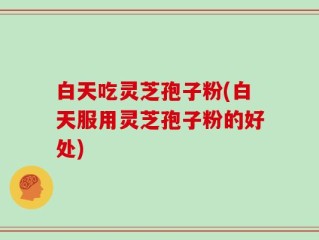 白天吃灵芝孢子粉(白天服用灵芝孢子粉的好处)