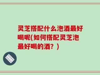 灵芝搭配什么泡酒最好喝呢(如何搭配灵芝泡最好喝的酒？)