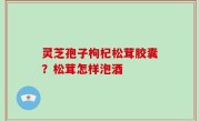灵芝孢子枸杞松茸胶囊？松茸怎样泡酒