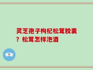 灵芝孢子枸杞松茸胶囊？松茸怎样泡酒