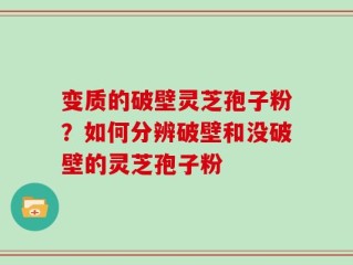 变质的破壁灵芝孢子粉？如何分辨破壁和没破壁的灵芝孢子粉