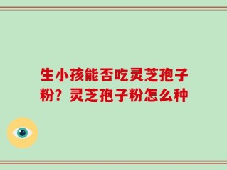 生小孩能否吃灵芝孢子粉？灵芝孢子粉怎么种