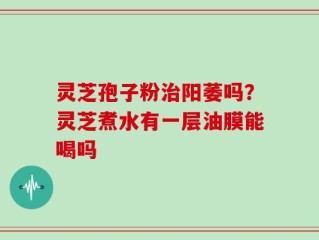 灵芝孢子粉治阳萎吗？灵芝煮水有一层油膜能喝吗
