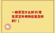 一般灵芝什么样子(常见灵芝外观特征是怎样的？)