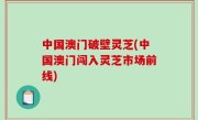 中国澳门破壁灵芝(中国澳门闯入灵芝市场前线)