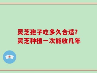 灵芝孢子吃多久合适？灵芝种植一次能收几年