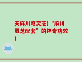天麻川穹灵芝(“麻川灵芝配套”的神奇功效)