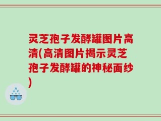 灵芝孢子发酵罐图片高清(高清图片揭示灵芝孢子发酵罐的神秘面纱)