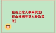 在山上挖人参采灵芝(在山林间寻觅人参及灵芝)
