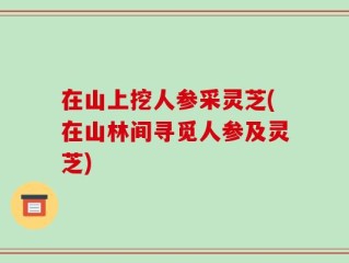 在山上挖人参采灵芝(在山林间寻觅人参及灵芝)