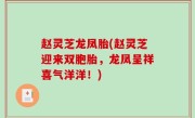 赵灵芝龙凤胎(赵灵芝迎来双胞胎，龙凤呈祥喜气洋洋！)