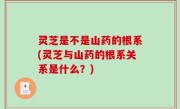 灵芝是不是山药的根系(灵芝与山药的根系关系是什么？)