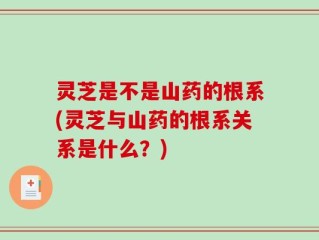 灵芝是不是山药的根系(灵芝与山药的根系关系是什么？)