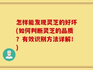 怎样能发现灵芝的好坏(如何判断灵芝的品质？有效识别方法详解！)