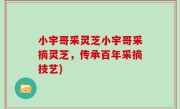 小宇哥采灵芝小宇哥采摘灵芝，传承百年采摘技艺)