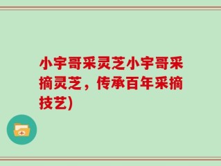 小宇哥采灵芝小宇哥采摘灵芝，传承百年采摘技艺)