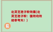 北灵芝孢子粉效果(北灵芝孢子粉：强效功效绝非夸大！)